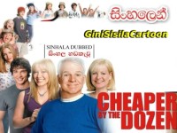 CHEAPER BY THE DOZEN - කරදර පිට කරදර පවුල